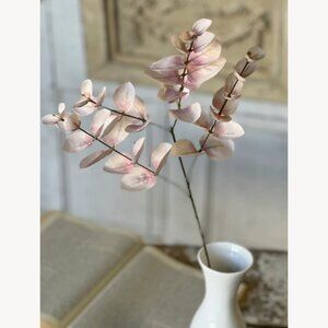 Set/6 Blushing Eucalyptus Sprays